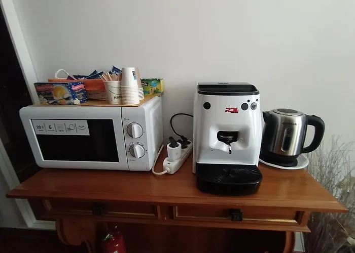 Pensiune Domus Nikolai 4*